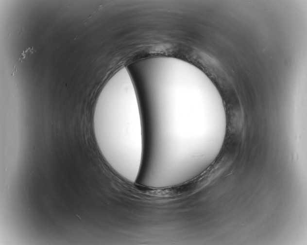 X0000098180273200804241036