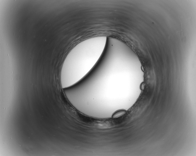 X0000098180275200804241036