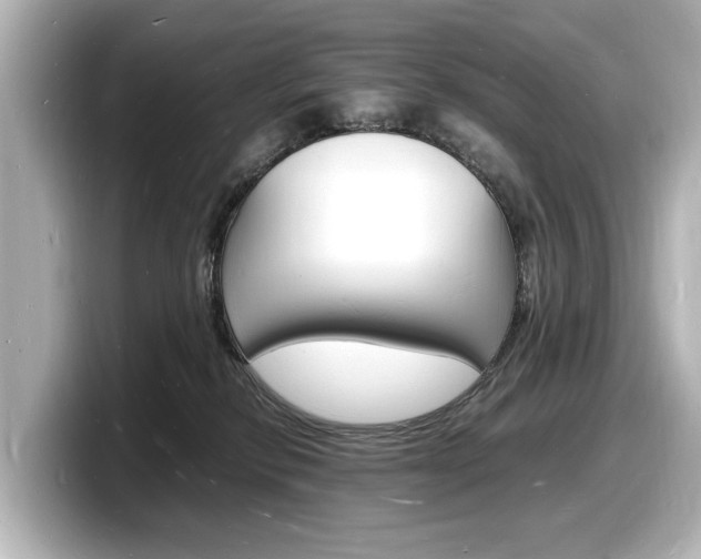 X0000098180278200804241036