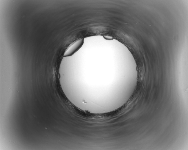 X0000098180279200804241036