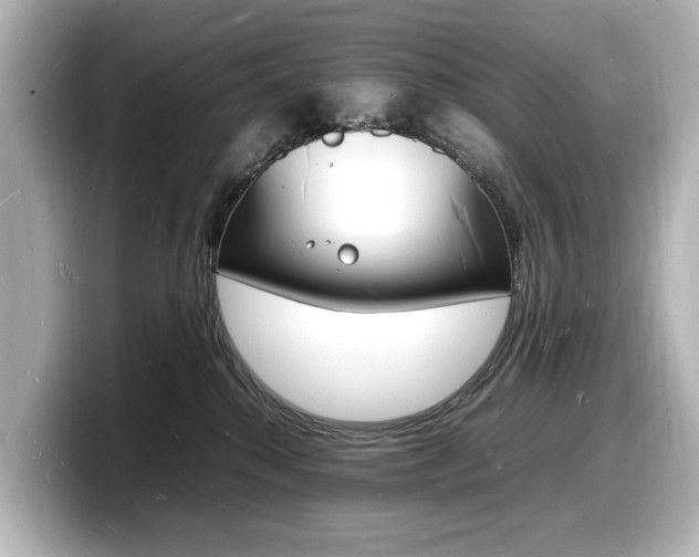 X0000098180280200804241036