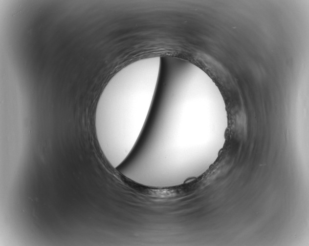 X0000098180281200804241036