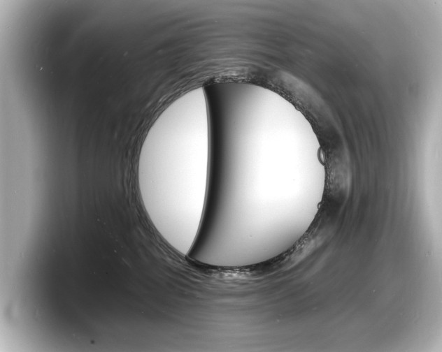 X0000098180282200804241036
