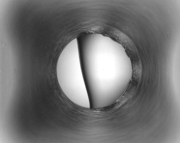 X0000098180284200804241036