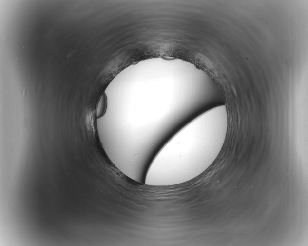 X0000098180286200804241037