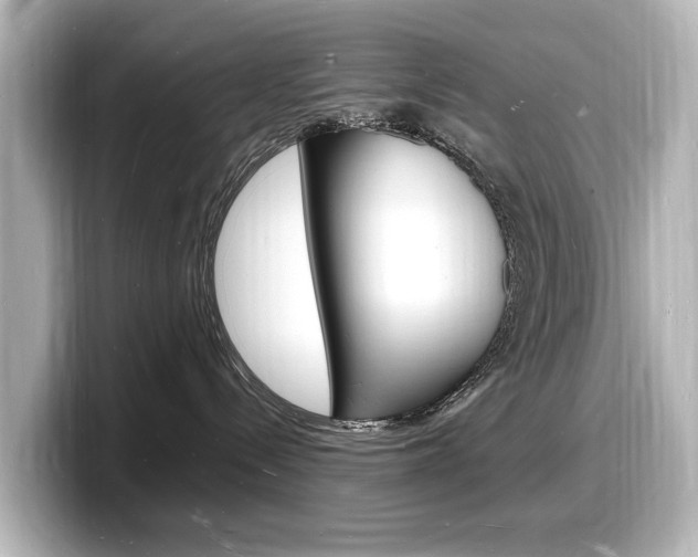 X0000098180288200804241037