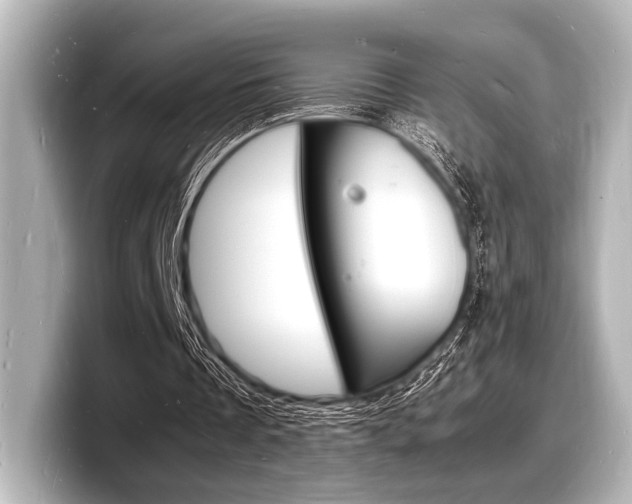 X0000098180289200804241036