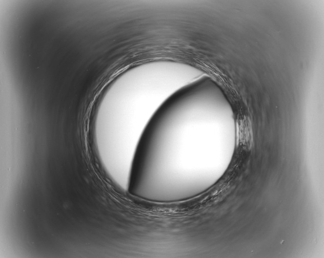 X0000098180291200804241036