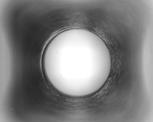 X0000098180292200804241036