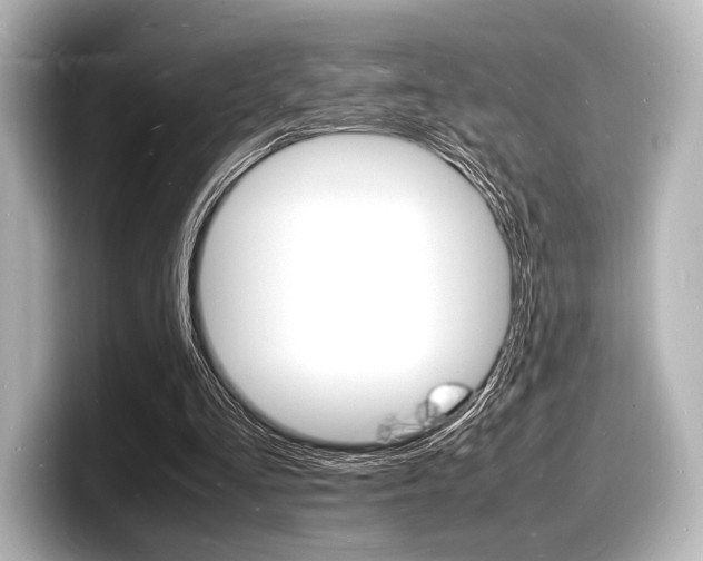 X0000098180293200804241036