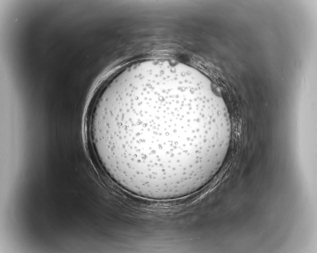 X0000098180294200804241036