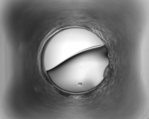 X0000098180295200804241036