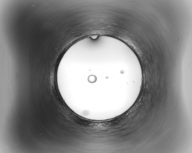 X0000098180297200804241036