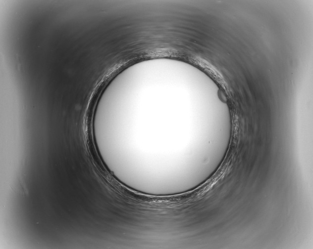 X0000098180298200804241036