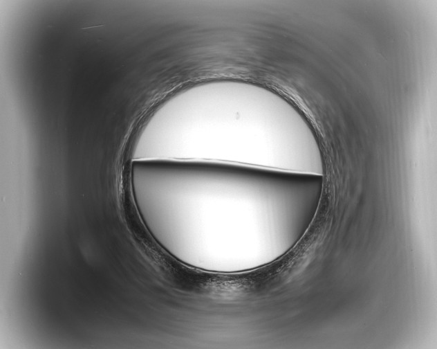 X0000098180299200804241036