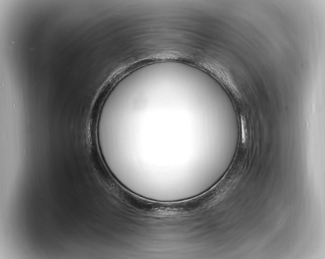 X0000098180300200804241036