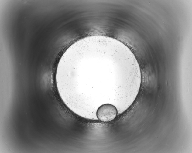 X0000098180302200804241036