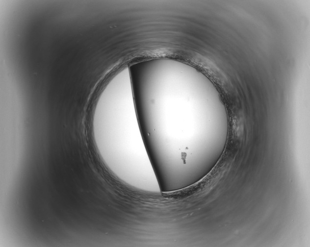 X0000098180304200804241036