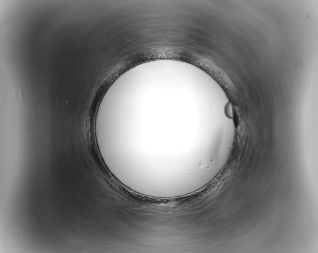 X0000098180306200804241036