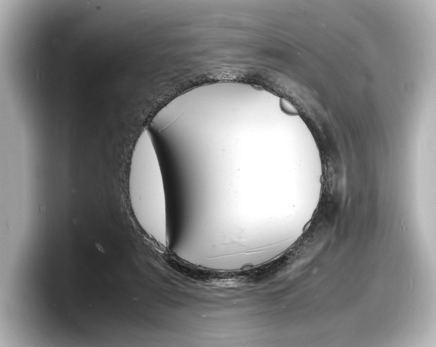 X0000098180307200804241036