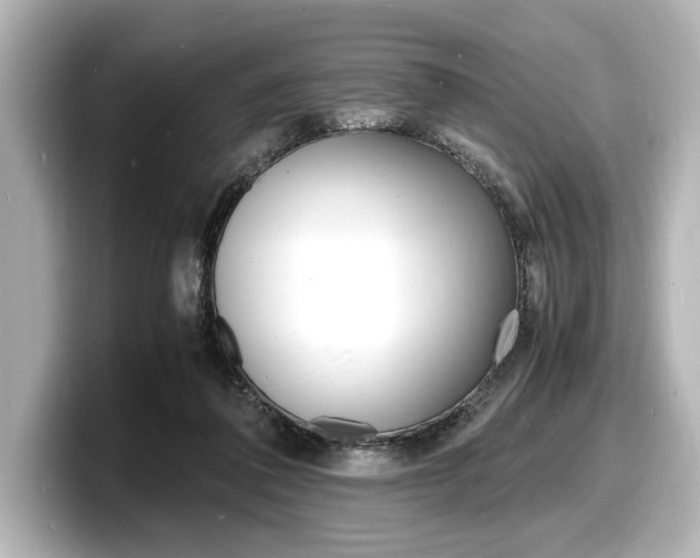 X0000098180308200804241036