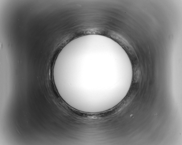 X0000098180310200804241036
