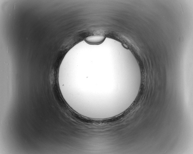 X0000098180311200804241036