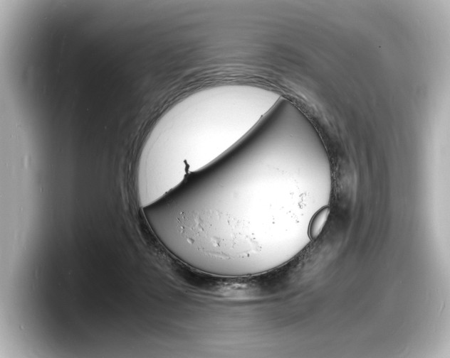 X0000098180315200804241036
