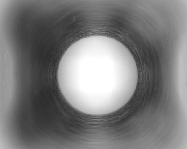 X0000098180316200804241036