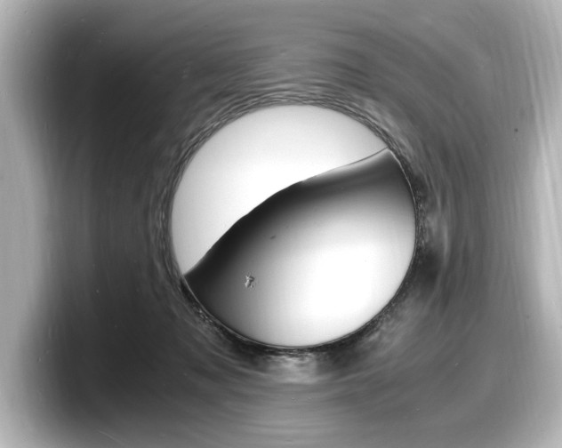 X0000098180317200804241036