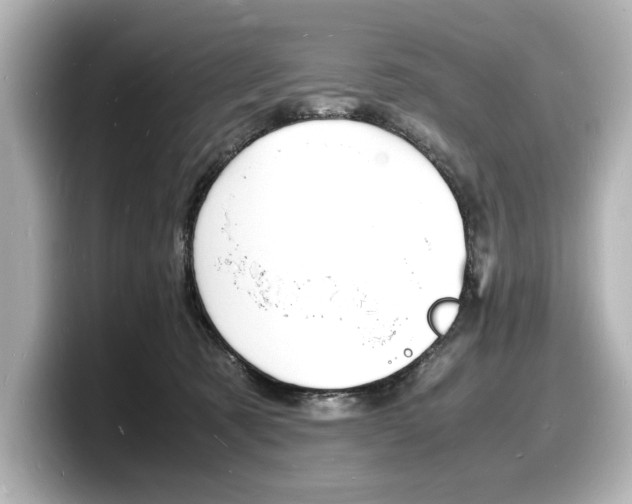 X0000098180321200804241035