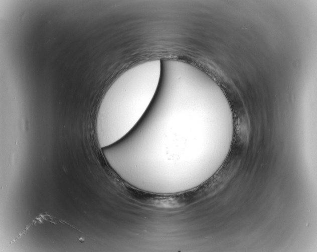 X0000098180322200804241035