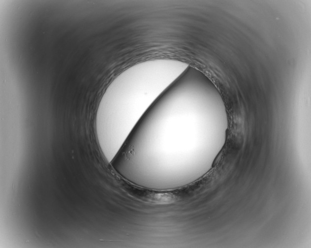 X0000098180324200804241035