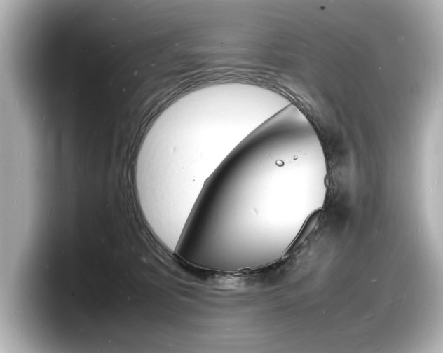 X0000098180325200804241035