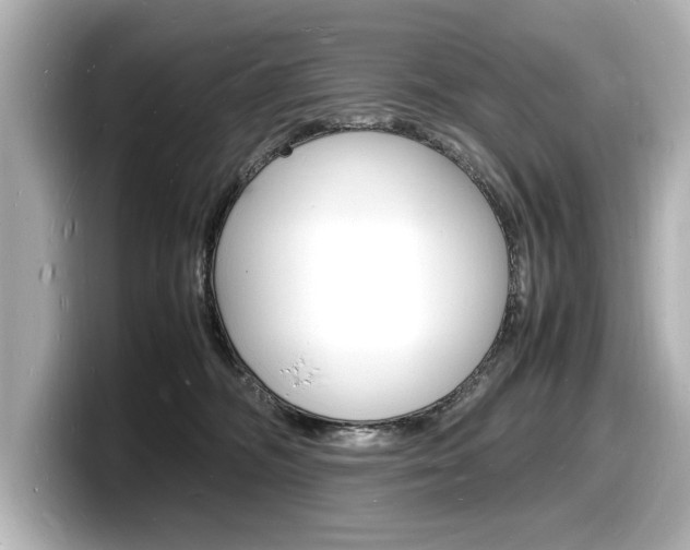X0000098180326200804241035