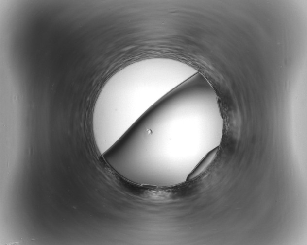 X0000098180327200804241035