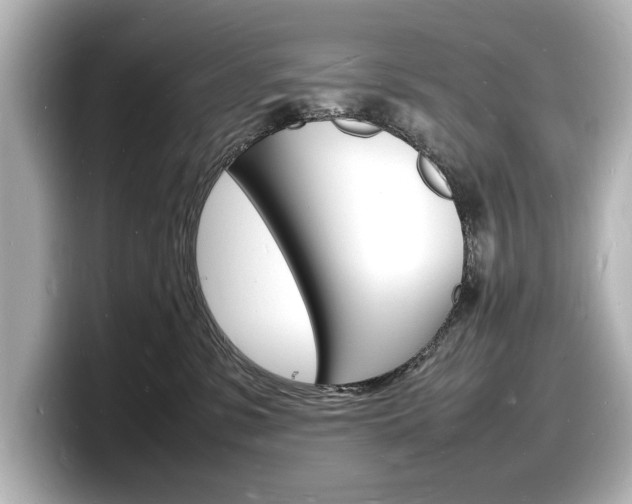 X0000098180331200804241035