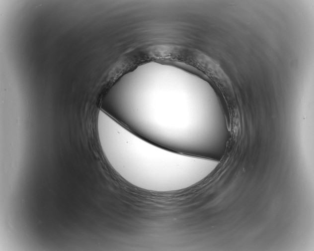 X0000098180332200804241035