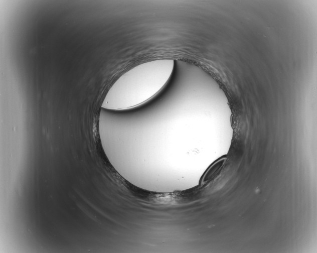 X0000098180335200804241035