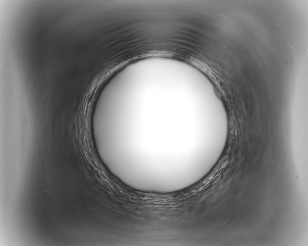 X0000098180337200804241035