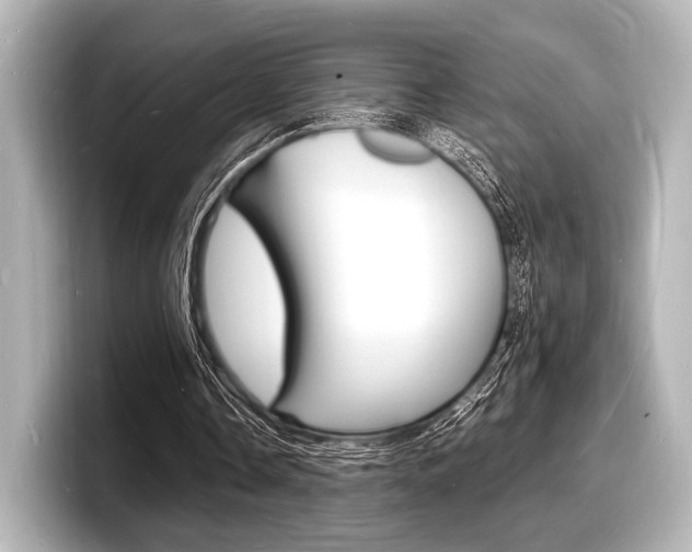 X0000098180338200804241035