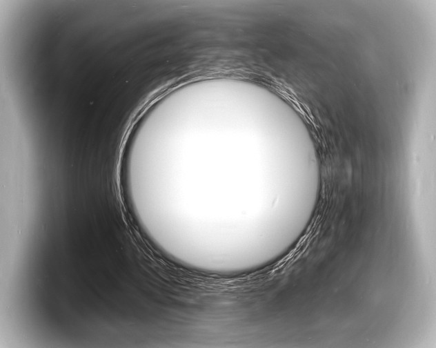 X0000098180340200804241035