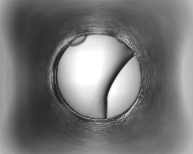 X0000098180342200804241035