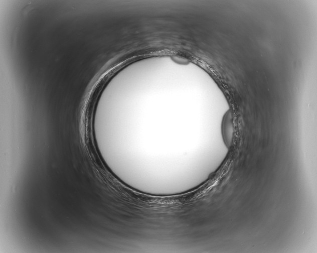 X0000098180343200804241035