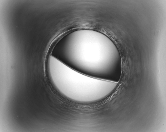 X0000098180344200804241035