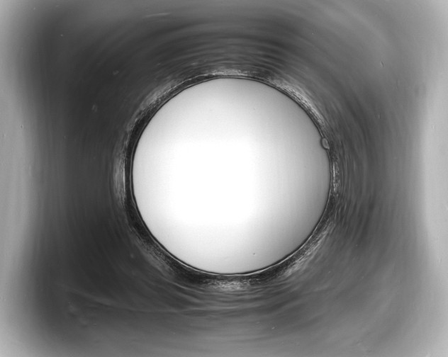 X0000098180349200804241035