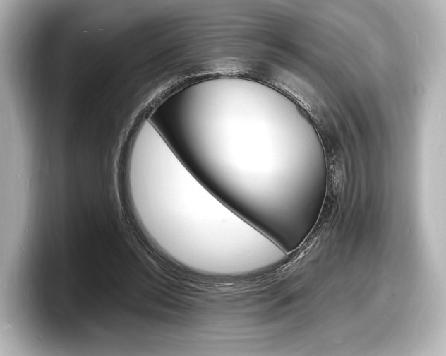 X0000098180350200804241035