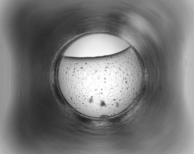 X0000098180351200804241035