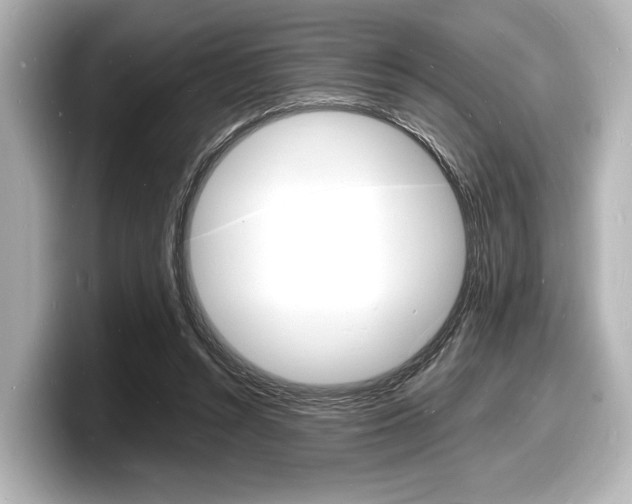 X0000098180352200804241035