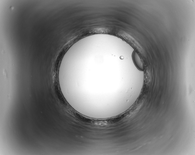 X0000098180355200804241035